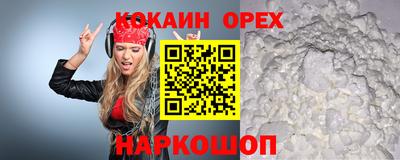 прущие грибы Брянск