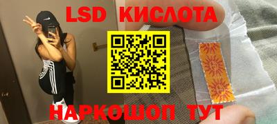 гашик Боровичи