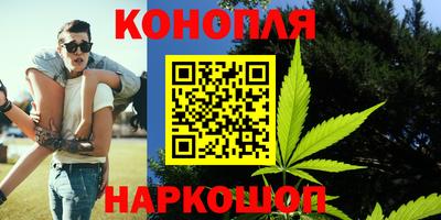 гашик Боровичи