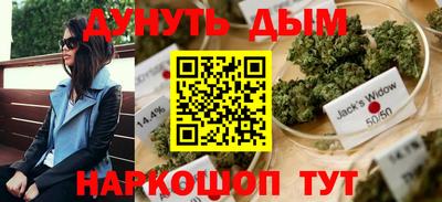 прущие грибы Брянск