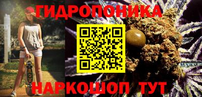 гашик Боровичи