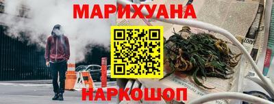 прущие грибы Брянск