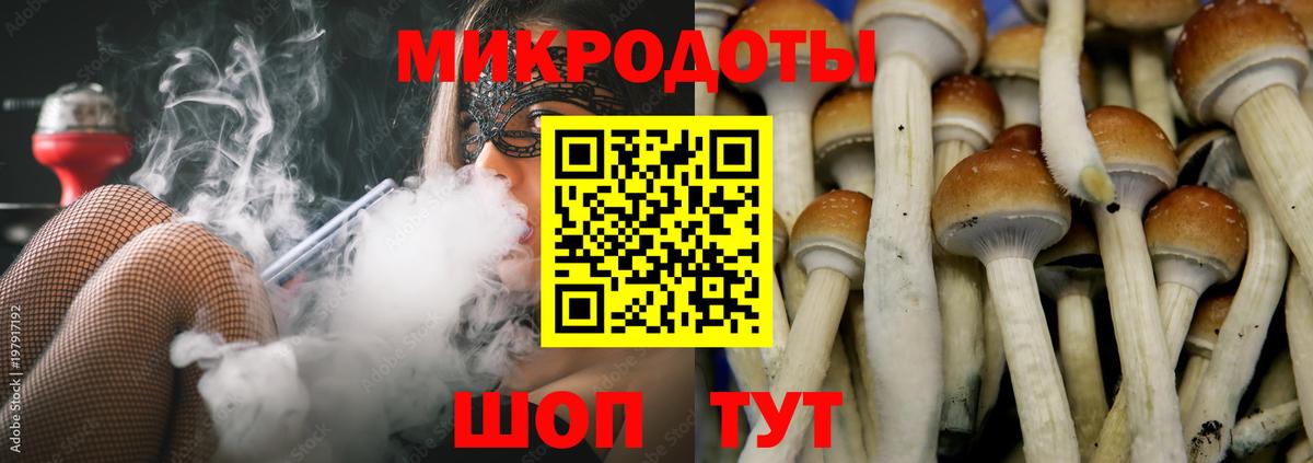 Галлюциногенные грибы мицелий Рославль